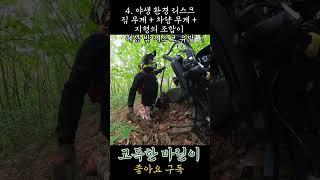 산에 혼자가면 위험한 이유 #투어라이딩 #모토캠핑 #riding #오프로드