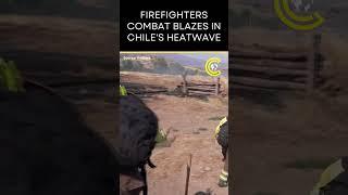 Fire brigades in Chile grapple with heatwave as they fight fires | CLRCUT