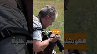 5 خطوات لتصميم برنامج كوتشنج مؤسسي احترافي متكامل
