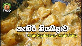 කැකිරි නියඹලාව   Kakiri niyambalawa -  kakiri curry - cook with chuti