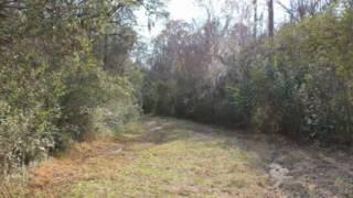 SC Acreage: Moncks Corner Commercial Parcels