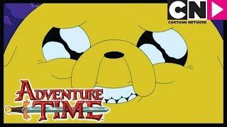 Adventure Time | Jake The Dog | Cartoon Network