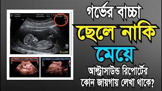 গর্ভের সন্তান ছেলে না মেয়ে আল্ট্রাসনোগ্রাম রিপোর্ট দেখে কিভাবে বুঝবেন? || আল্ট্রাসনোগ্রাফি রিপোর্ট