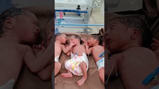 Triplets 2 boy babies , 1 girl baby #youtube shorts #baby