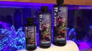 Brightwell aquatics Razor tank cleaner