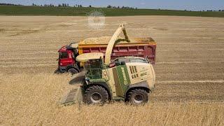 KRONE BiGX 1100 & X-Disc 6200 !! Tatra Phoenix & Schuitemaker, Claas, Fendt, Valtra ! GPS Harvest !