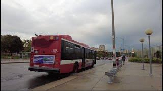 TTC 185 Sheppard Central Bus Ride #1269 from Bessarion Stn to Leslie Stn (October 4th, 2024)