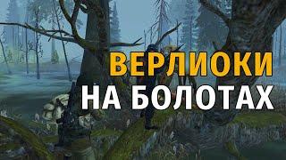 118. Верлиоки на Болотах. Сталкер Онлайн | Stalker Online | Stay Out. RU2.