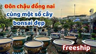 ĐTham quan triễn lãm hội sinh vật cảnh hà nội, nhiều mặt hàng đẹp cho ae ở xa ngắm nhìn #0383573697