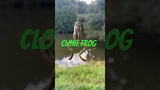 【Bass fishing】Clone Frog【Jackall】#shorts