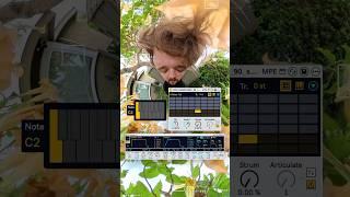 Chord Slicing Cheat Code