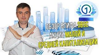 Обзор фонда Акции малой и средней капитализации / Инвестировать Просто