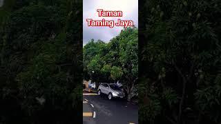 Natural Beauty of Taman Taming Jaya, Selangor, Malaysia #nature #naturalbeauty #tamingjaya #malaysia