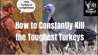 NIGHTMARE GOBBLERS/ How to Constantly Be Successful on the Toughest Turkeys