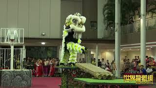 日兴醒狮健身院 Ri Hing Lion Dance Training Centre