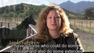 The Path of the Horse - English subtitles