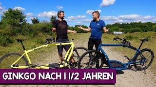 Ginkgo Bike im 8000-km-Check – wie unsere Lastenräder jetzt aussehen und wo die Liebe Kratzer bekam