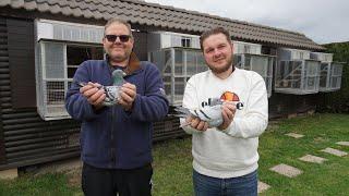 Pigeon-Master: Jérôme Hottin vainqueur du premier Châteauroux 2021