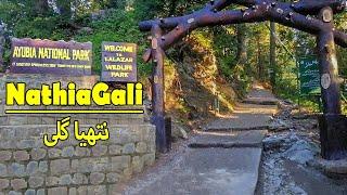 Nathiagali | Lalazar wildLife Park | Ayubia National Park | Ahsan Arain