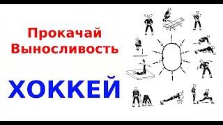 Как развить выносливость хоккеисту. РАБОЧАЯ СХЕМА.