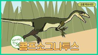 #15 콤프소그나투스를 소개합니다. l 작은 공룡 1위가 아니라고? | 공룡백과사전 | Compsognathus