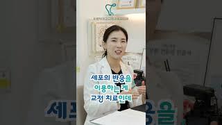 주걱턱 교정도 투명교정장치로 가능한가요? #인비절라인투명교정 #세라핀투명교정 #주걱턱교정