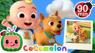 Me and My Dog Bingo! Play with Doggies! | CoComelon Nursery Rhymes and Kids Songs | Animals for Kids