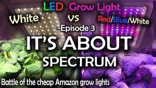 White LED vs Red Blue White LED Grow Test Ep.3 (Final Episode)