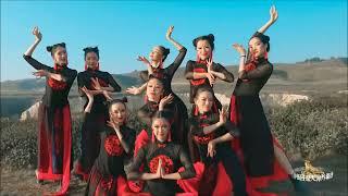 舞蹈 《一朵莲》表演：IPAA舞蹈团（美国）(Dance: A Lotus, Performer: IPAA Dance Company, USA)