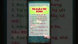 Bí Kíp Khỏe Mạnh Của Người Xưa | Khỏe quá trời ơi! #khoequatroioi #songkhoemoingay #songtho