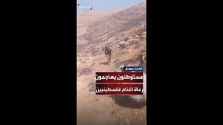 مستوطنون يهاجمون المزارعين أثناء رعيهم الأغنام في مسافر يطا جنوب الخليل