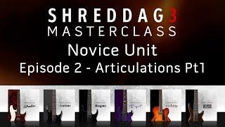 Shreddage 3 Masterclass Episode 2: Melodies and Lead Articulations
