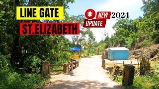 JAMAICA TOUR LINE GATE TO BREADNUT WALK , ST.ELIZABETH #JAMAICA