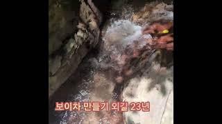 보이차 山 가는길. 보이차 만드는 人生 #보이차 #홍차 #茶문화