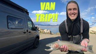 VAN TRIP with MONSTER TROUT to Pyramid Lake, Nevada