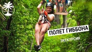 Полет Гибонна (Ханумана) на Пхукете обзор экскурсии с Tropic Tours