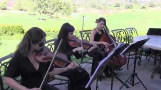 Los Angeles String Trio - Wedding Musicians - "Every LIttle Thing" Sting cover version