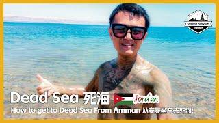  The Cheapest Way to get to the Dead Sea from Amman 死海一日游，从安曼坐车去死海只要20元人民币 البحر الميت | Dead Sea