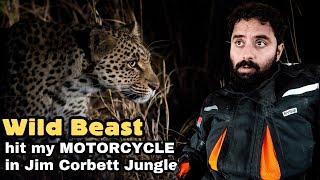 Crossing Jim Corbett at night - My Biggest Mistake| UK Budget Ride Challenge Ep 13