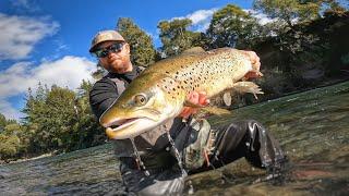 Rare August Brown Trout Caught on Tongariro River