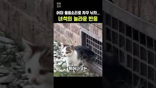 어미 울음소리를 자꾸 흉내냈더니…