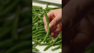 GIVE THANKS FOR GREEN BEAN GOODNESS I H MART KIMCHI EVERYDAY I 그린빈 마늘 볶음