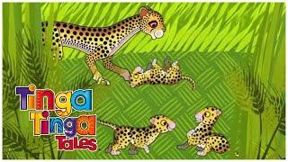 Leopard & Friends! | Tinga Tinga Tales | Compilation | Cartoons for Kids