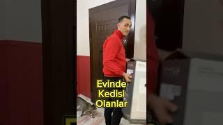 KEDİSİ OLANLAR ANLADI 