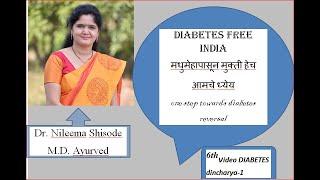 मधुमेहा पासून मुक्ती हेच आमचे स्वप्न Diabetes free India mission # nileema shisode part 6