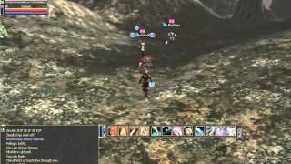 dvp - Lineage II - CritDmgSA = Good