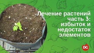 №45 Лечение растений. Часть 3: избыток и дефицит элементов