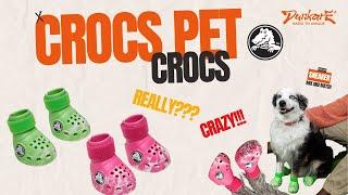 Crocs Releases Shoes for Dogs – Shocking New Pet Fashion Trend! | Dunkare Review