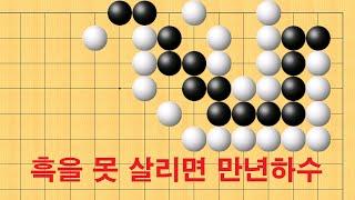 바둑 묘수 사활 - 흑을 못 살리면 만년하수 입니다.