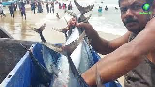 Relax SL | Fisherman's Life | Arugambe Beach - Sri Lanka